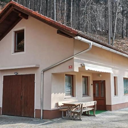Apartma Regina Slovenj Gradec Exterior photo
