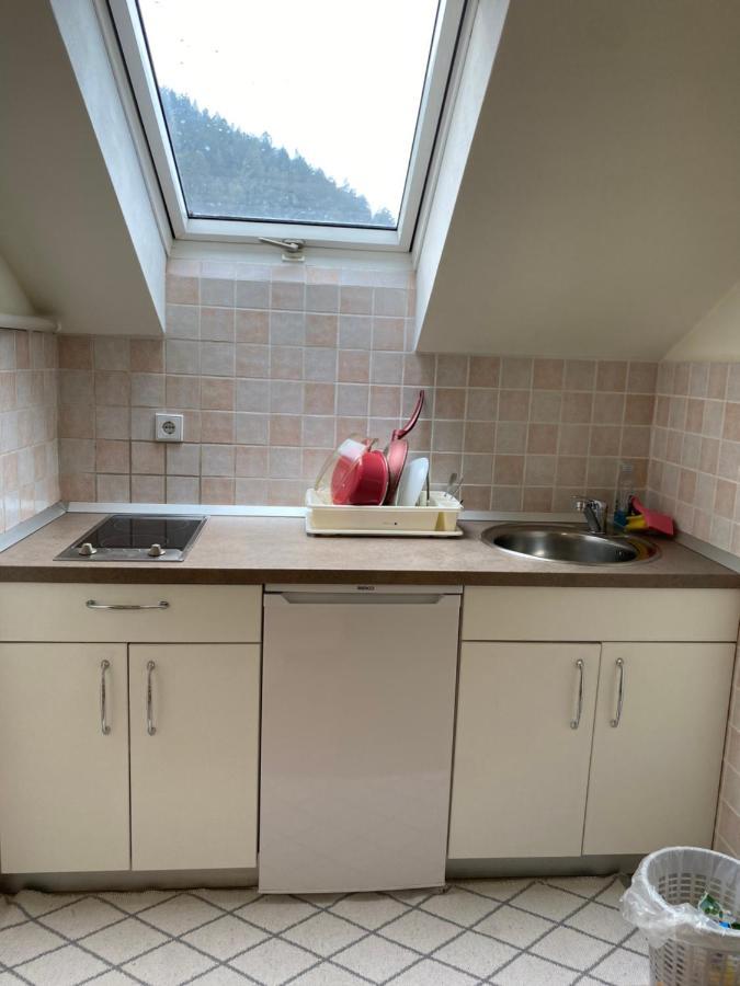 Apartma Regina Slovenj Gradec Exterior photo