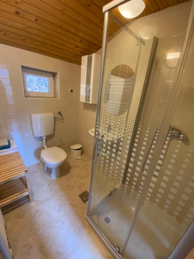 Apartma Regina Slovenj Gradec Exterior photo